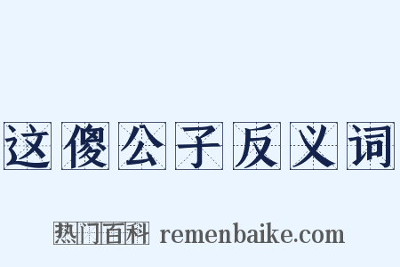这傻公子反义词是什么意思的图片